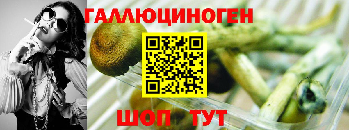 купить наркотик  Галлюциногенные грибы MAGIC MUSHROOMS  Вход с VPN  Шумерля 